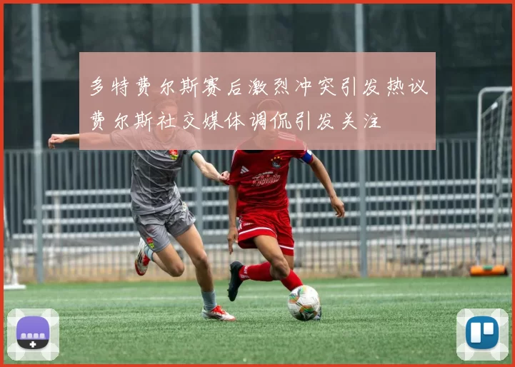 多特费尔斯赛后激烈冲突引发热议费尔斯社交媒体调侃引发关注